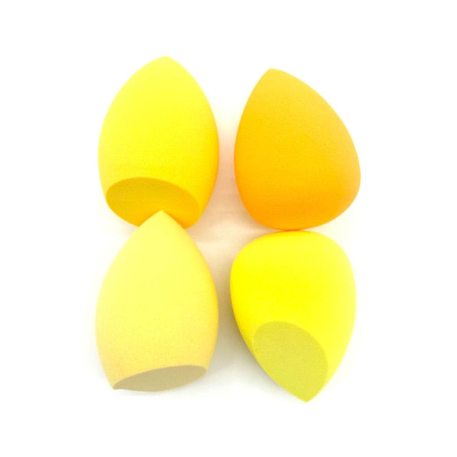 Makeup Sponge Powder Puff Dry and Wet